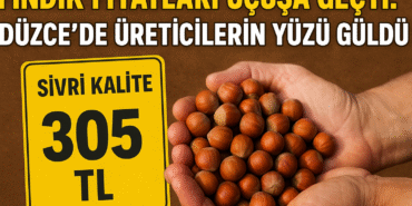 Fındık Fiyatları Yükseldi