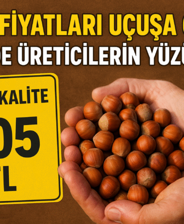 Fındık Fiyatları Yükseldi