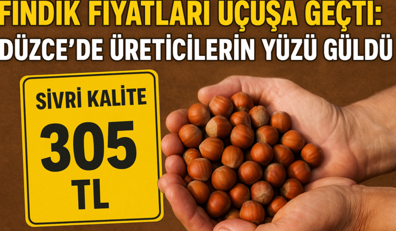 Fındık Fiyatları Yükseldi