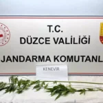 Düzce'de Uyuşturucu Operasyonu
