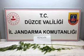 Düzce'de Uyuşturucu Operasyonu