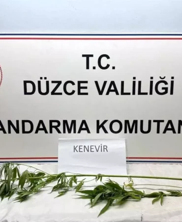 Düzce'de Uyuşturucu Operasyonu