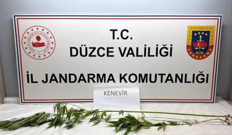 Düzce'de Uyuşturucu Operasyonu