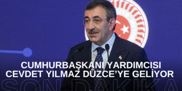 Bizim Düzce Gazetesi (16)