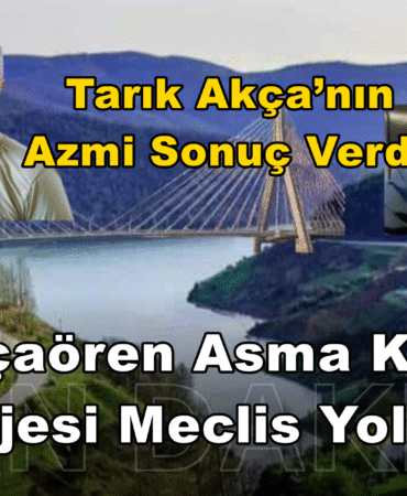 Bizim Düzce Gazetesi (2)