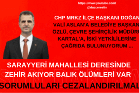 Bizim Düzce Gazetesi (3)