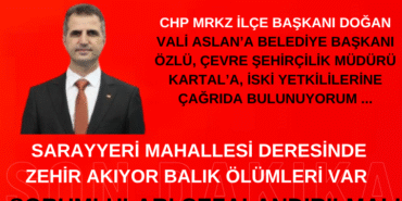 Bizim Düzce Gazetesi (3)