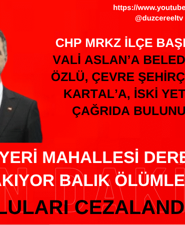 Bizim Düzce Gazetesi (3)