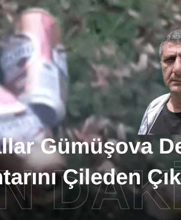 Bizim Düzce Gazetesi