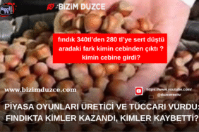 Bizim Düzce Gazetesi (7)
