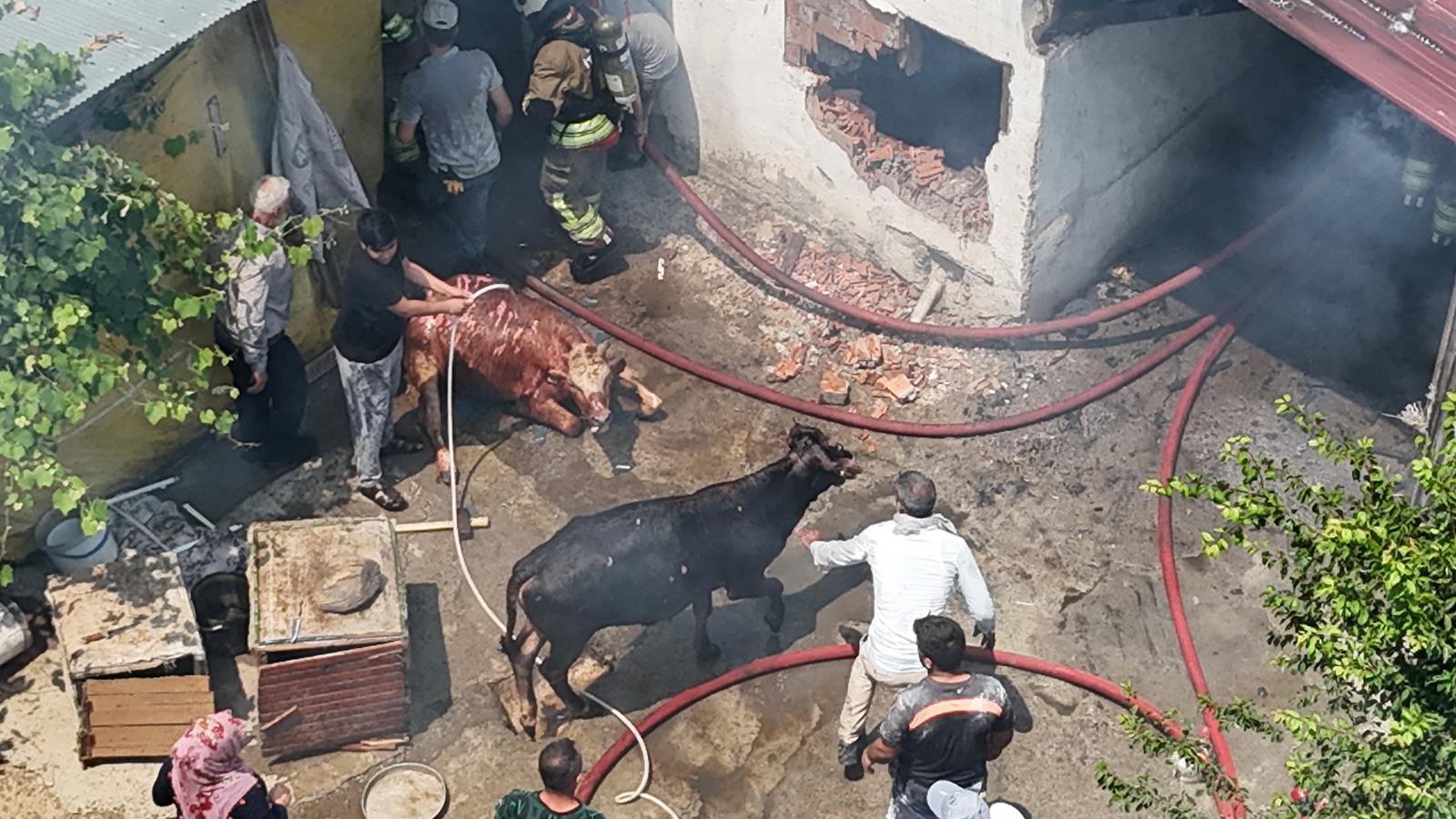 DÜZCE İTFAİYE MÜDÜRLÜĞÜ 9 AYLIK ÇALIŞMA RAPORU AÇIKLADI