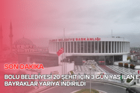 reelmedyamanset- (9)