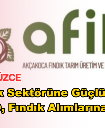 reelmedyamanset- (12)