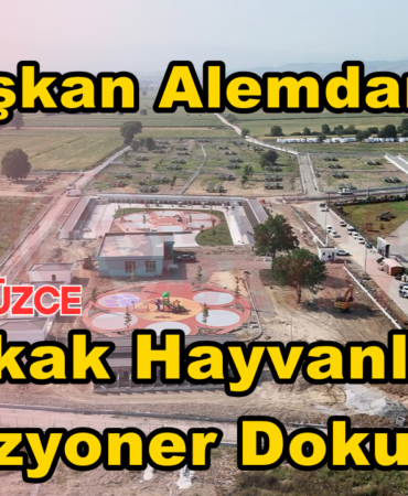 reelmedyamanset- (16)