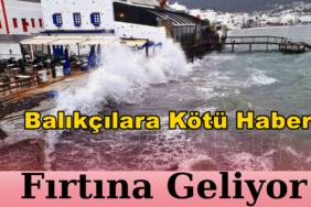 reelmedyamanset-