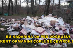 reelmedyamanset- (2)