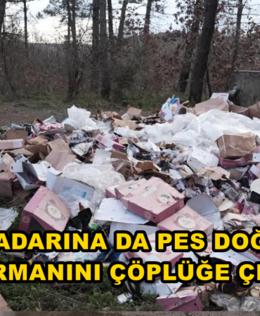 Bu Sorumsuzluğa Pes Doğrusu! reelmedyamanset- (2)