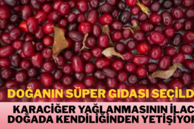 reelmedyamanset- (40)