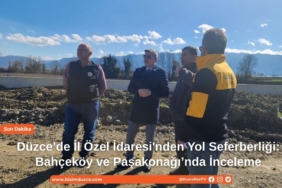 reelmedyamanset-