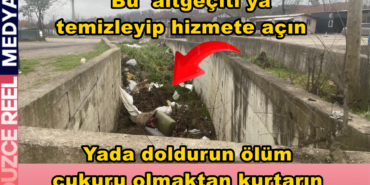 reelmedyamanset- (2)