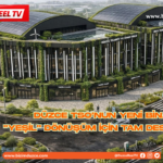 Düzce TSO’dan Yeşil Bina Hamlesi!