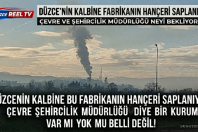 Düzce’de Hava Kirliliği Tepkisi: Denetimler Yetersiz Mi?