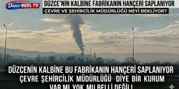Düzce’de Hava Kirliliği Tepkisi: Denetimler Yetersiz Mi?