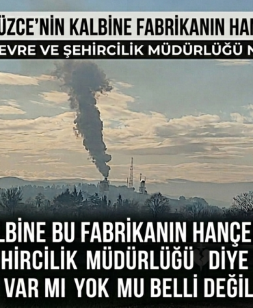 Düzce’de Hava Kirliliği Tepkisi: Denetimler Yetersiz Mi?