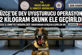 Düzce'de 12 Kilogram Skunk Ele Geçirildi!