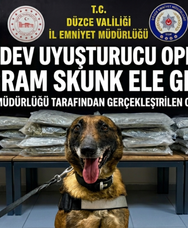 Düzce'de 12 Kilogram Skunk Ele Geçirildi!