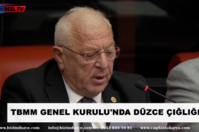 TBMM GENEL KURULU'NDA DÜZCE ÇIĞLIĞI