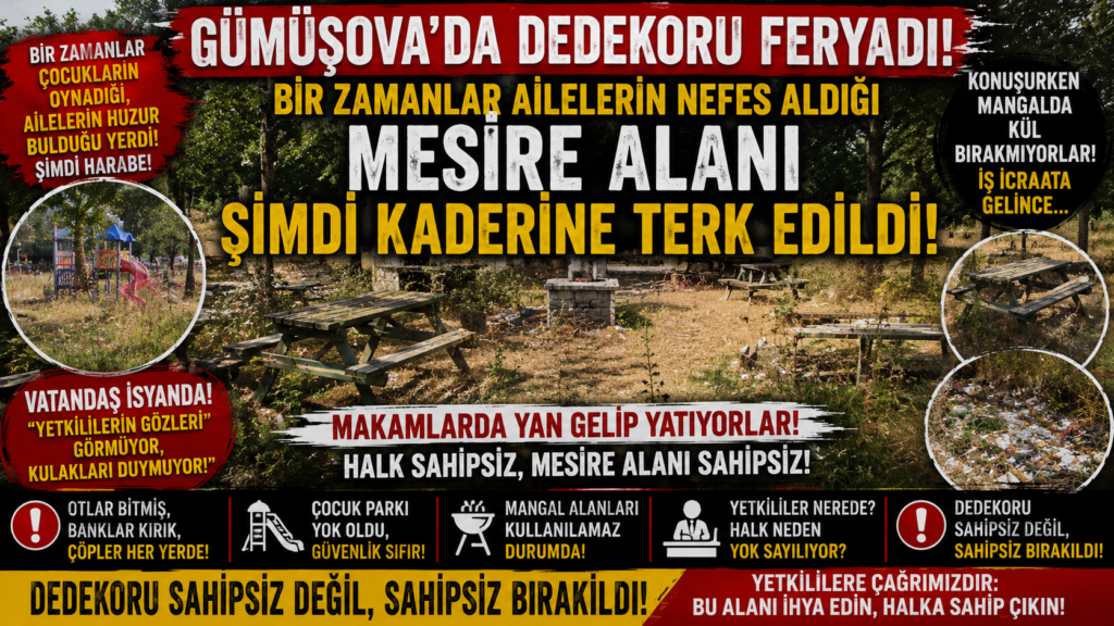 GÜMÜŞOVA’DA DEDEKORU FERYADI!