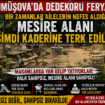 GÜMÜŞOVA’DA DEDEKORU FERYADI!