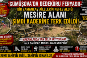 GÜMÜŞOVA’DA DEDEKORU FERYADI!