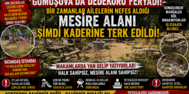 GÜMÜŞOVA’DA DEDEKORU FERYADI!