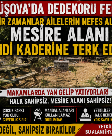 GÜMÜŞOVA’DA DEDEKORU FERYADI!