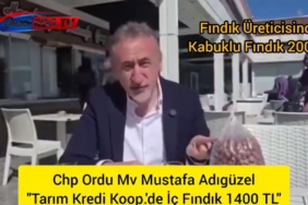CHP Ordu Milletvekili Mustafa Adıgüzel, ''Dört Bardak Çay Bir Kilo Fındık Ediyor”