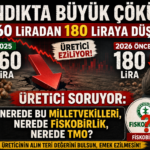 Fındıkta Büyük Çöküş! 360 Liradan 180 Liraya Düştü, Üretici Tepkili