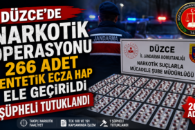 Düzce’de 266 Adet Sentetik Ecza Hap Ele Geçirildi, 1 Şüpheli Tutuklandı