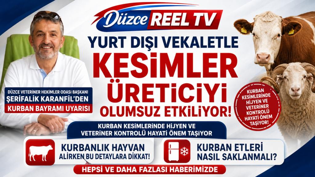 ŞERİFALİ KARANFİL: KURBAN KESİMLERİNDE HİJYEN İHMAL EDİLMEMELİ