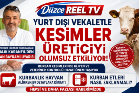 ŞERİFALİ KARANFİL: KURBAN KESİMLERİNDE HİJYEN İHMAL EDİLMEMELİ