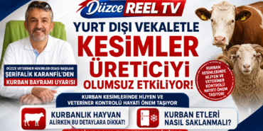 ŞERİFALİ KARANFİL: KURBAN KESİMLERİNDE HİJYEN İHMAL EDİLMEMELİ