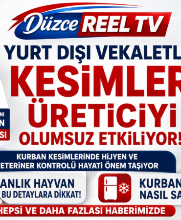 ŞERİFALİ KARANFİL: KURBAN KESİMLERİNDE HİJYEN İHMAL EDİLMEMELİ
