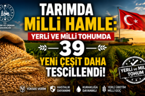 Milli Çeşit Listesi Genişliyor: Yerli Tohum Sayısı 1087’ye Ulaştı