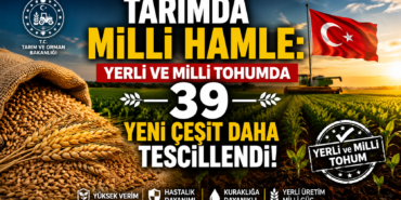 Milli Çeşit Listesi Genişliyor: Yerli Tohum Sayısı 1087’ye Ulaştı