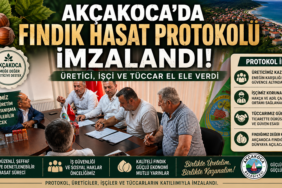 Fındık İşçi Yevmiyeleri Açıklandı