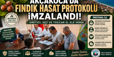 Fındık İşçi Yevmiyeleri Açıklandı