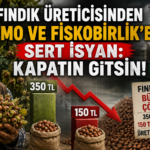 Üretici İsyan Bayrağını Açtı: TMO ve FİSKOBİRLİK Ne İşe Yarıyor?