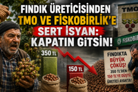 Üretici İsyan Bayrağını Açtı: TMO ve FİSKOBİRLİK Ne İşe Yarıyor?