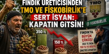 Üretici İsyan Bayrağını Açtı: TMO ve FİSKOBİRLİK Ne İşe Yarıyor?